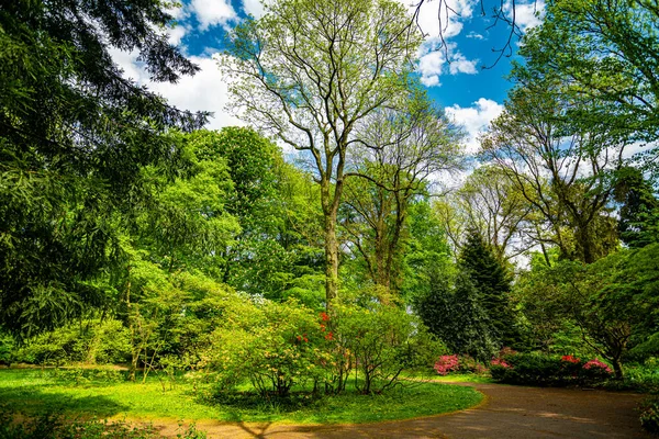 Hermoso Jardín Con Árboles Flor Durante Primavera —  Fotos de Stock