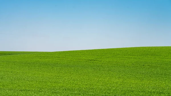 Prados Verdes Con Cielo Azul Fondo Nubes — Foto de Stock