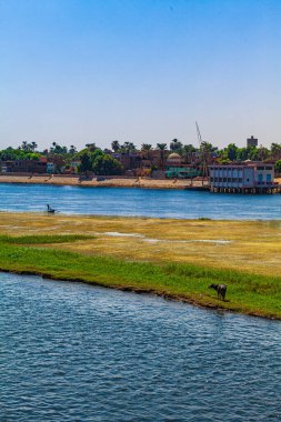 Mısır. Nil gezisinde gün doğumu 