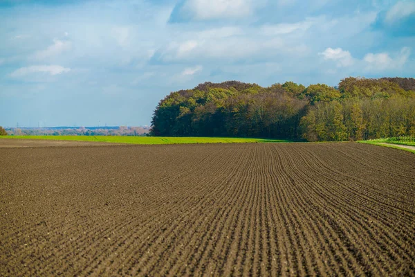 Landbouwconcept Landschap Met Landbouwgrond — Stockfoto