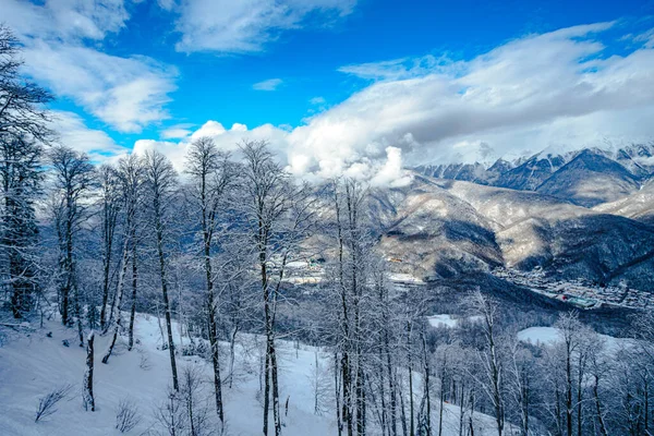 Panorama Snowy Mountains Caucasus Mountains — Stock Photo, Image