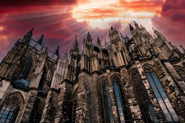 Germany Cologne View Cologne Cathedral Sunset — Stock Photo, Image