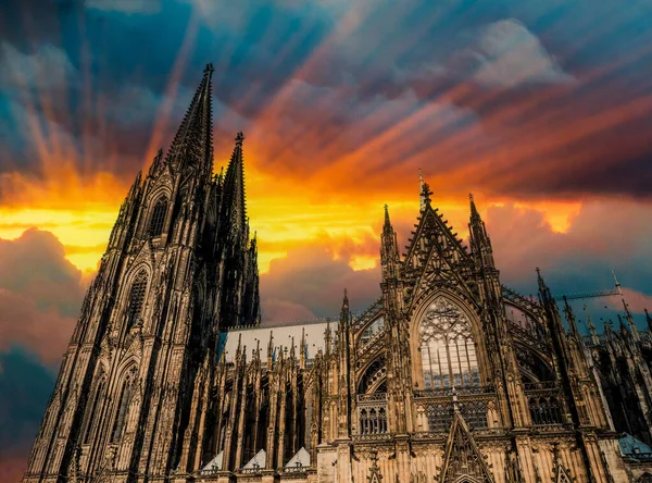 Deutschland Köln Blick Von Unten Auf Den Kölner Dom Bei — Stockfoto