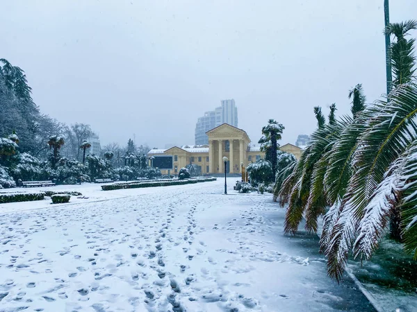 Ruas Cidade Inverno Palmeiras Neve Rússia Sochi — Fotografia de Stock