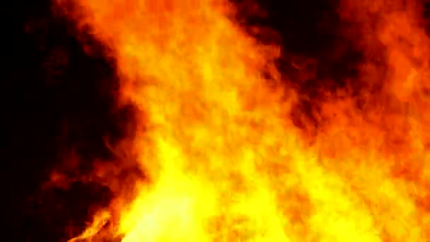Tábortűz Éjszakában Lángok Ugrálnak — Stock videók
