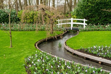 Resmi bahar bahçesi. Keukenhof Bahçelerinde Çiçek Yatağı