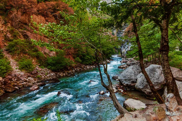 ロッキー山脈川 美しい景色 — ストック写真