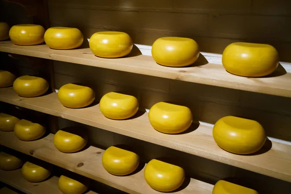 チーズショップのディスプレイ ファーマーズチーズ 店内のチーズホイール — ストック写真