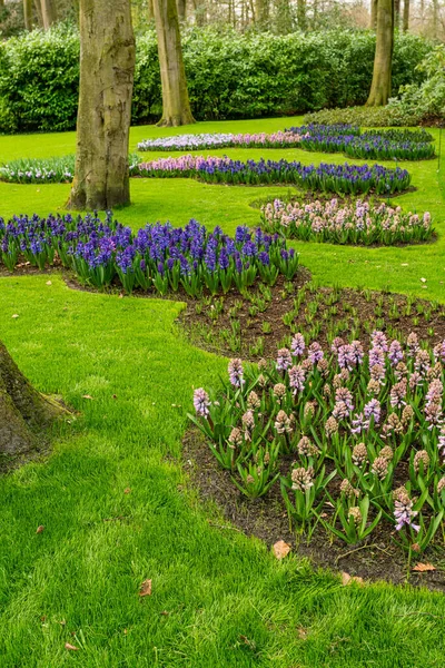 Kleurrijk Tuinlandschap Grasveld — Stockfoto