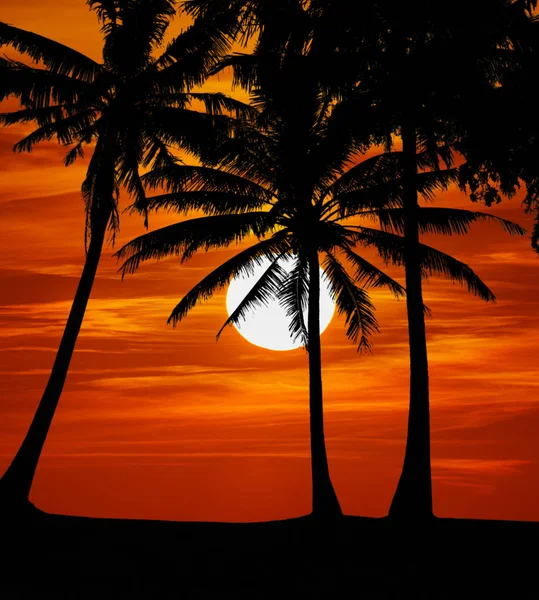 Прекрасний Захід Сонця Пляжному Курорті Тропіках — стокове фото