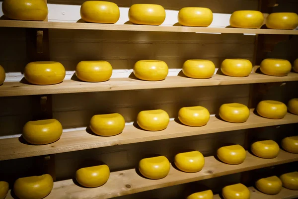 Cheese Shop Display Farmer Cheese Cheese Wheels Store — Stock Photo, Image