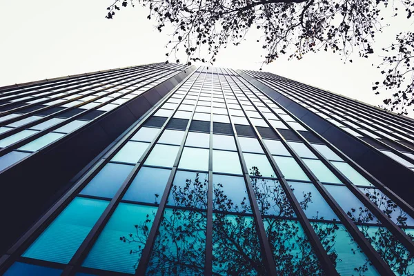 近代的なビジネス高層ビル高層ビル — ストック写真