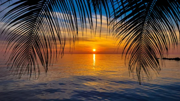 Silueta Palmeras Hermosa Puesta Sol Playa Tropical Del Mar —  Fotos de Stock