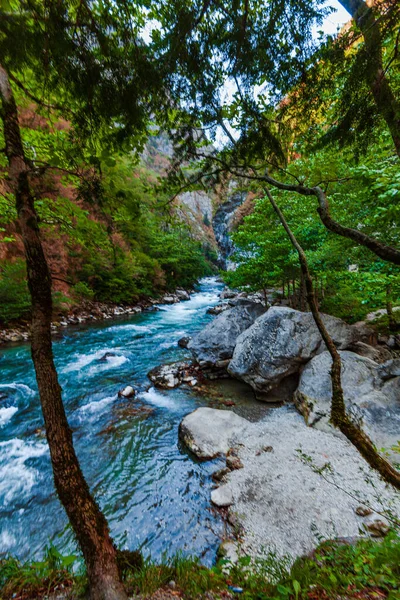 Río Montañas Rocosas Hermoso Paisaje —  Fotos de Stock