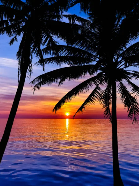 Palmiye Ağaçlarının Silueti Tropikal Deniz Sahillerinde Güzel Bir Gün Batımı — Stok fotoğraf