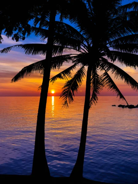 Mooie Zonsondergang Donkere Palmbomen Silhouetten Kleurrijke Tropische Oceaan Zonsondergang Achtergrond — Stockfoto