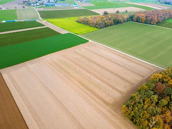 Letecký Pohled Pastviny Ornou Půdu Panorama Nad Zdravými Zelenými Plodinami — Stock fotografie
