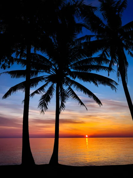 いい夕日だ カラフルな熱帯の海の夕日の背景に暗いヤシの木のシルエット — ストック写真