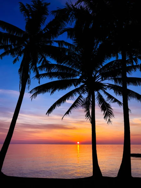 Silhouette Φοίνικες Όμορφο Ηλιοβασίλεμα Στην Τροπική Παραλία Της Θάλασσας — Φωτογραφία Αρχείου