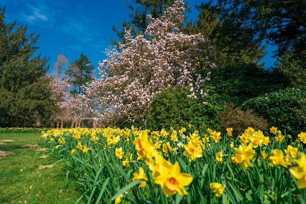 Güzel bir açık hava manzarası. Bahar manzarası