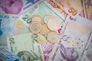 Çeşitli Türk Lira Banknotları ve Paraları. Türk Parası