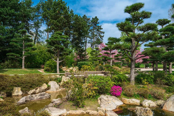 Japanese Garden Nordpark Dusseldorf Germany — Zdjęcie stockowe