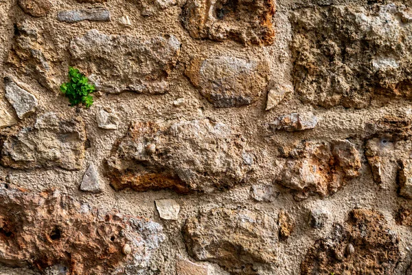 Old Stone Wall Texture Brick Background — Photo