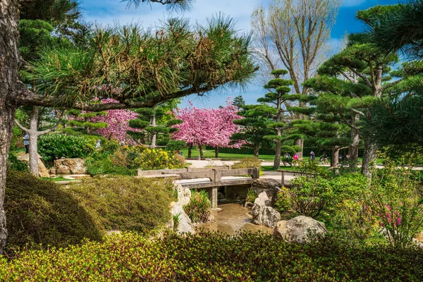  Japon bahçesinin ideal manzarası. Meditasyon için geleneksel Japon taş bahçesi. 