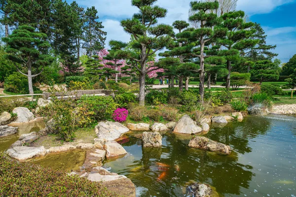 Idylliskt Landskap Japansk Trädgård Traditionell Japansk Stenträdgård För Meditation — Stockfoto