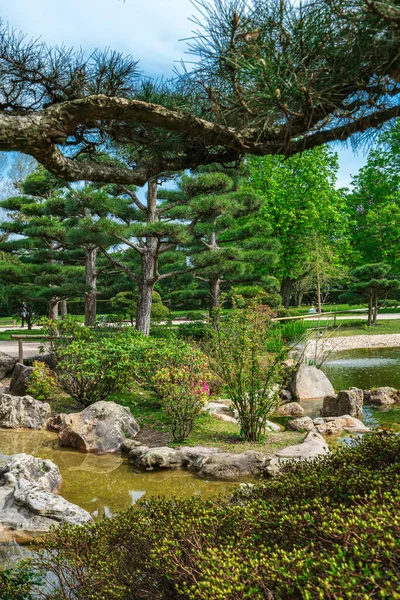Ειδυλλιακό Τοπίο Του Ιαπωνικού Κήπου Παραδοσιακός Ιαπωνικός Πέτρινος Κήπος Για — Φωτογραφία Αρχείου