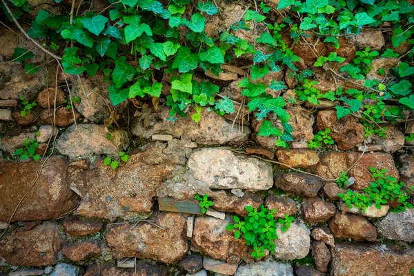 Бесшовная Текстура Средневековой Стены Каменных Блоков — стоковое фото