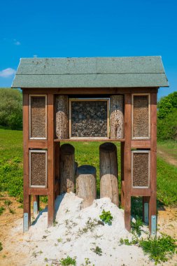 Insect hotel in a green hedge gives protection. Wooden insect house shelter for wild insects in forest reserve