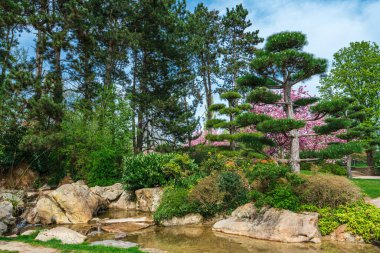  Idyllic landscape of Japanese garden. Traditional japanese stone garden for meditation 