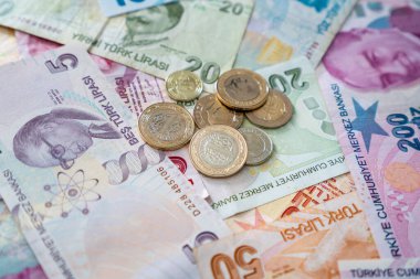 Çeşitli Türk Lira Banknotları ve Paraları. Türk Parası