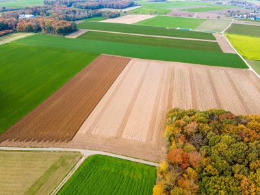  Çayırların ve ekilebilir arazilerin havadan görünüşü. Yamalı otlaklardaki sağlıklı yeşil ekinler üzerine panorama