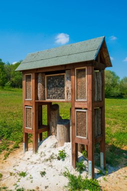 Insect hotel in a green hedge gives protection. Wooden insect house shelter for wild insects in forest reserve