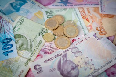 Çeşitli Türk Lira Banknotları ve Paraları. Türk Parası