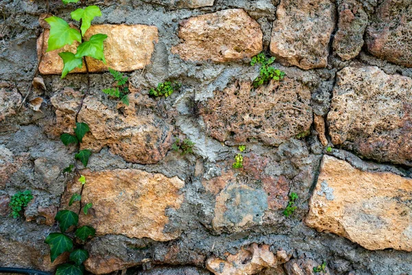 Old Stone Wall Texture Brick Background — ストック写真