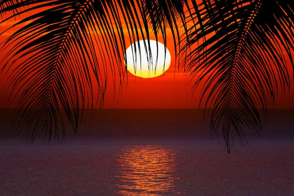 Beau Coucher Soleil Dans Une Station Balnéaire Sous Les Tropiques — Photo