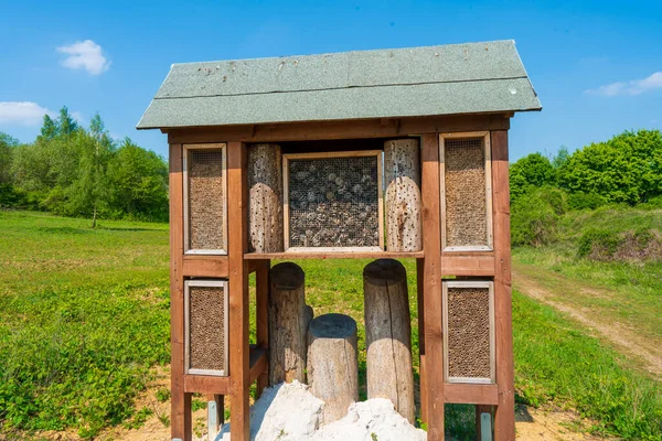 Insektshotell Grön Häck Ger Skydd Insektshem Trä För Vilda Insekter — Stockfoto