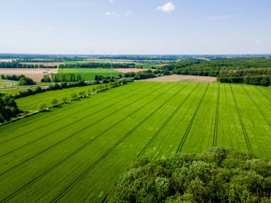 Yukarıdan gelen tarlalar. Yeşil alanlar üzerinde hava görünümü