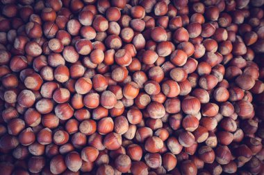 Fındık dolu. Corylus-avellana