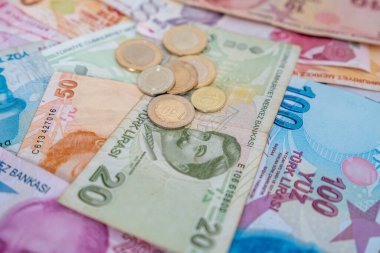 Çeşitli Türk Lira Banknotları ve Paraları. Türk Parası