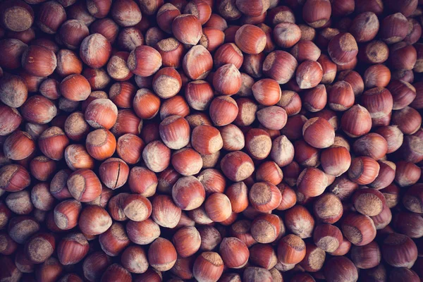 Fındık dolu. Corylus-avellana