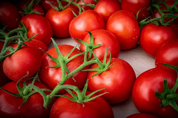 Tomate Orgânico Closeup Vegetal Fundo Vista Superior — Fotografia de Stock