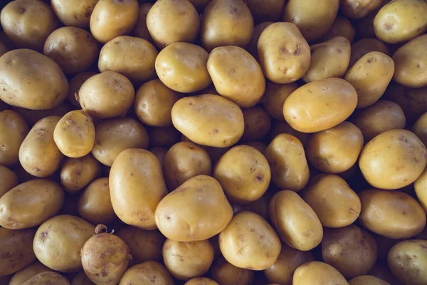 Taze Organik Patates Çiftçi Pazarı — Stok fotoğraf