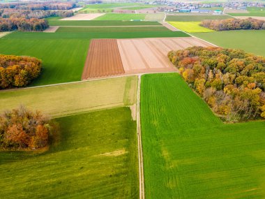  Çayırların ve ekilebilir arazilerin havadan görünüşü. Yamalı otlaklardaki sağlıklı yeşil ekinler üzerine panorama