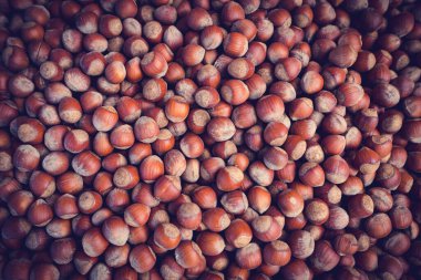 Fındık dolu. Corylus-avellana