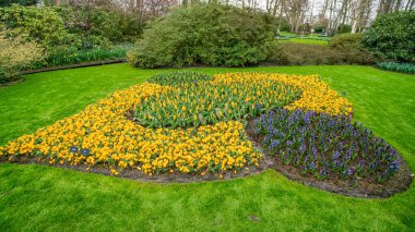 Resmi bahar bahçesi. Keukenhof Bahçelerinde Çiçek Yatağı