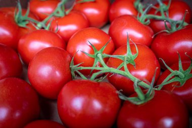 Kırmızı domates arka planı. Bir grup domates. 